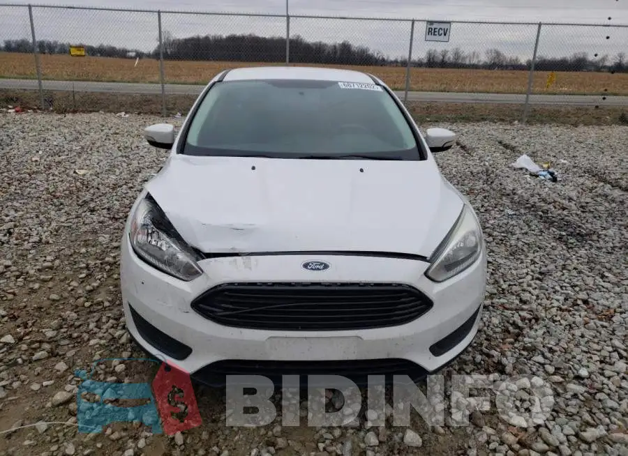 1FADP3F24FL296029 Photo# 5