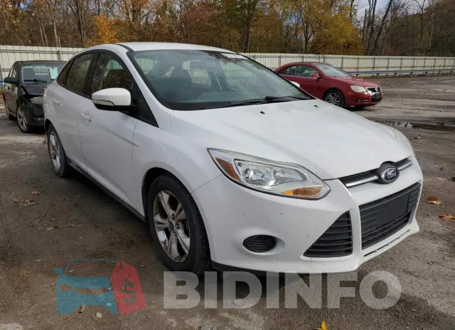 1FADP3F29EL217324 Photo# 1