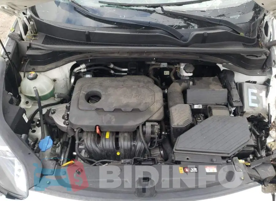 KNDPN3AC9L7782286 Photo# 11