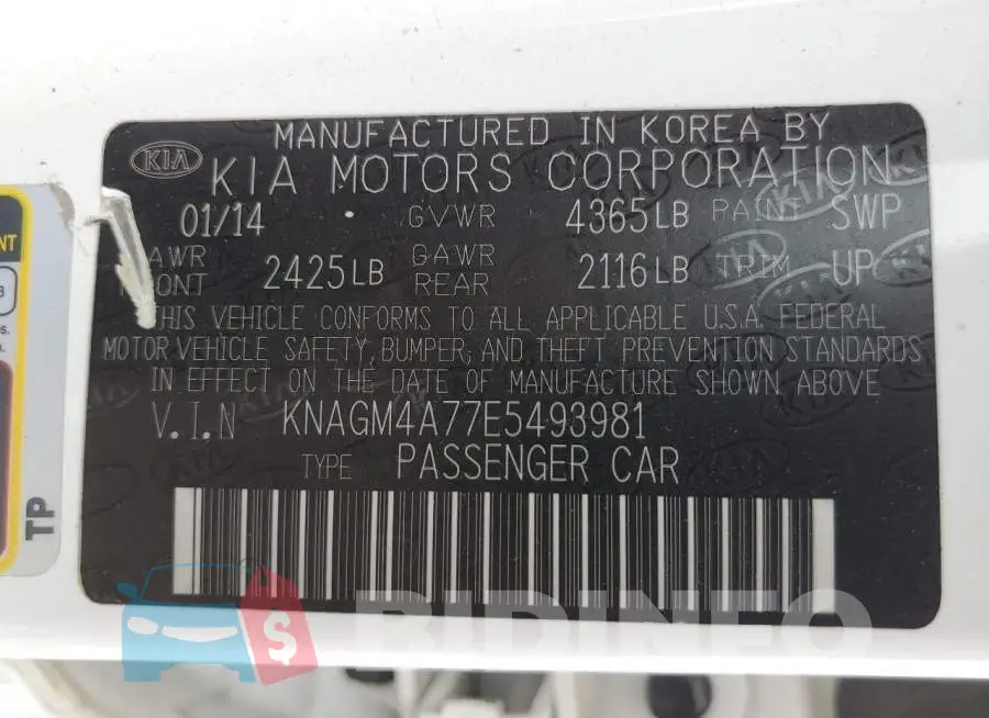 KNAGM4A77E5493981 Photo# 10