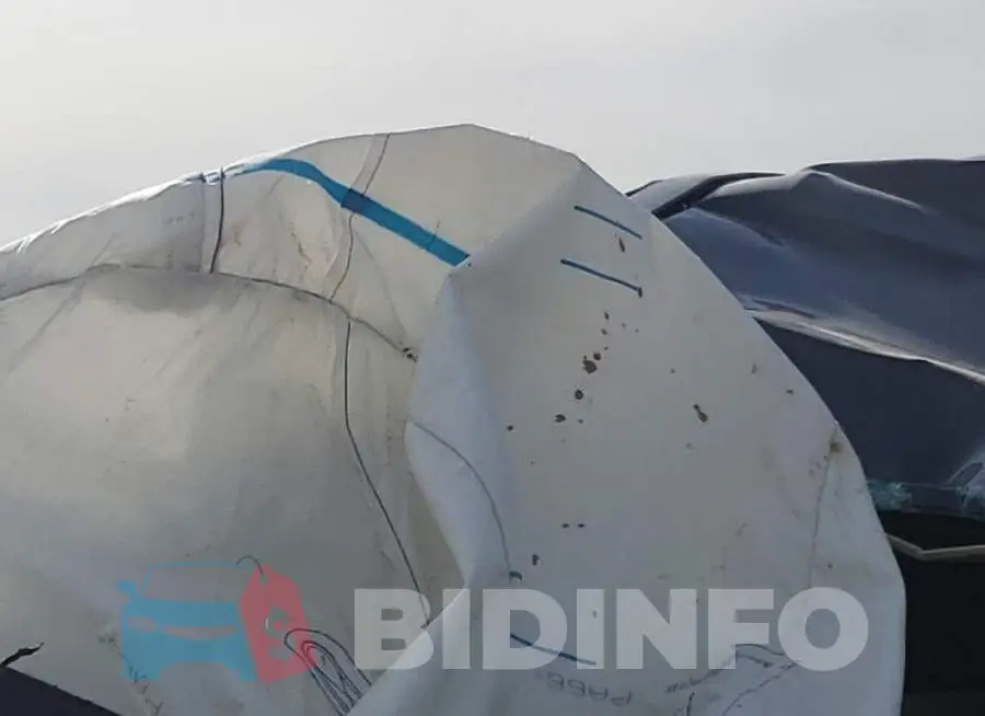 1FTER4FH2MLD85629 Photo# 9