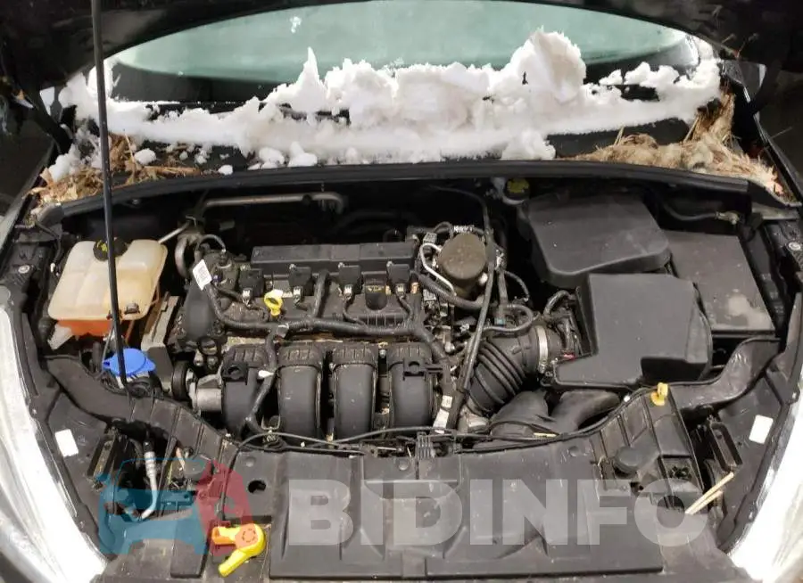 1FADP3F20GL206831 Photo# 11