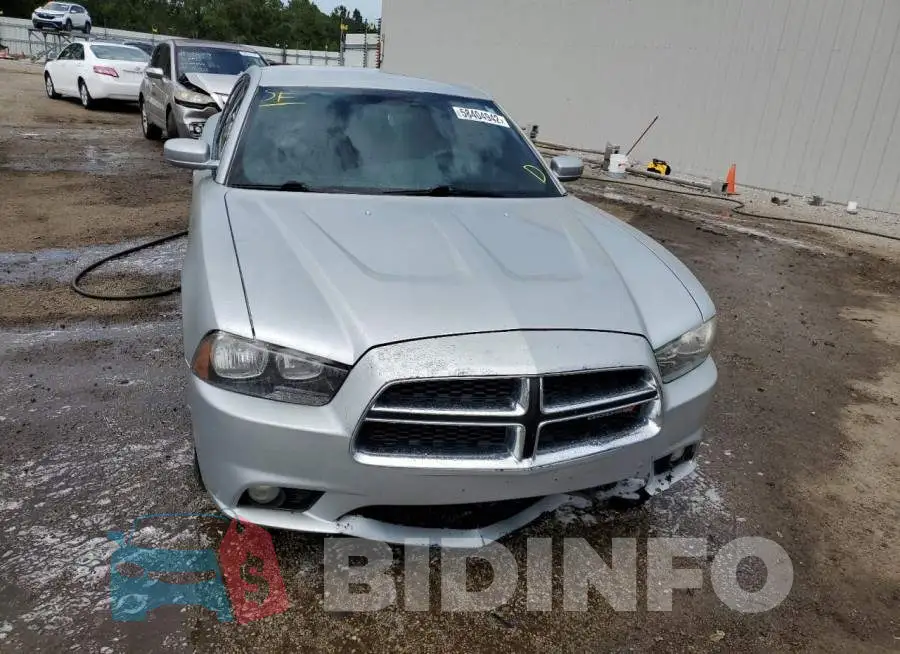 2C3CDXBG9EH251823 Photo# 9