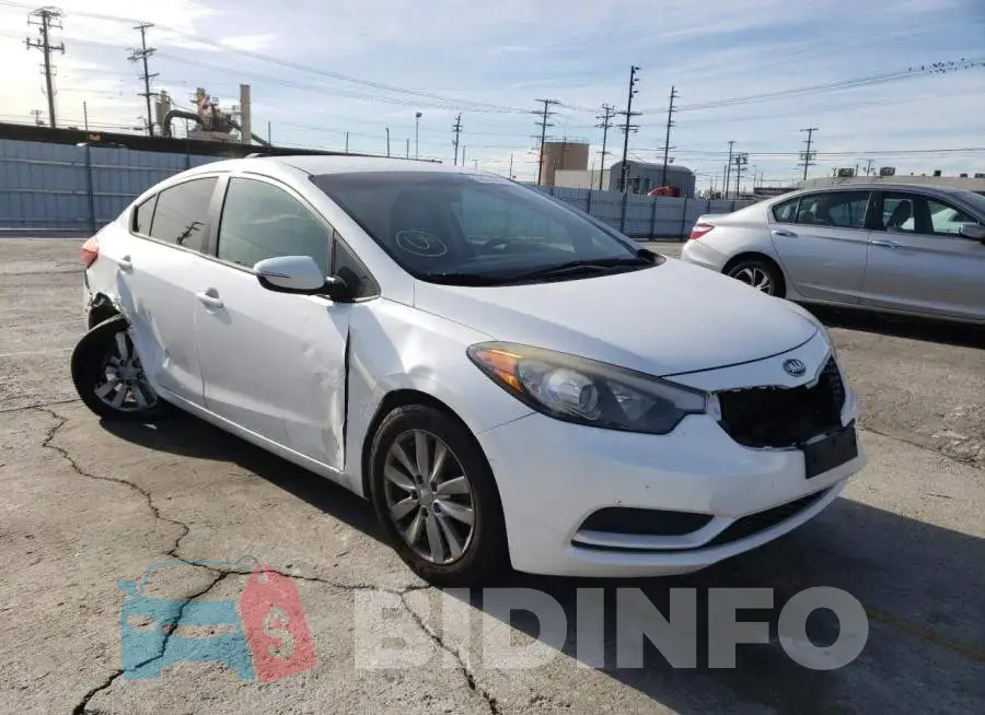 KNAFX4A68E5177743 Photo# 1