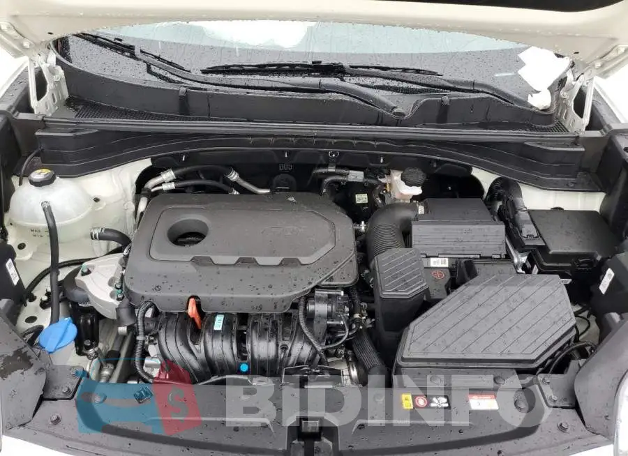 KNDPN3AC1M7855149 Photo# 12