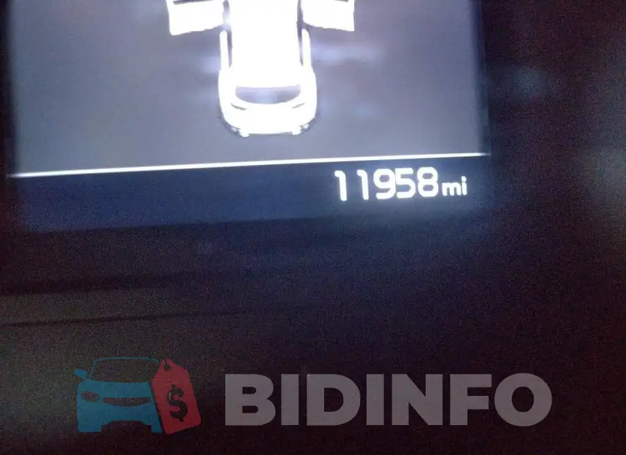 KNDPN3AC3M7908854 Photo# 8