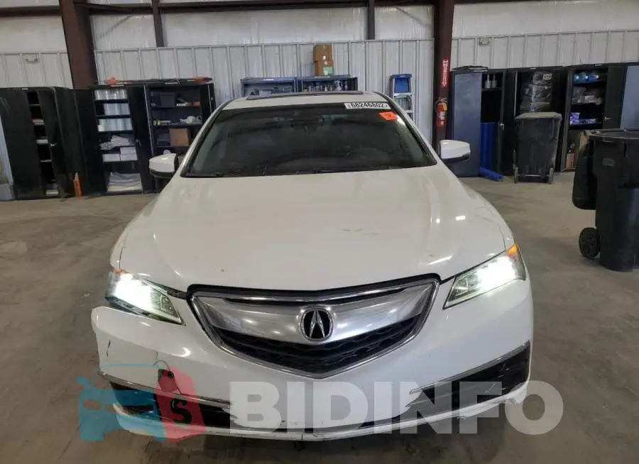 19UUB2F55FA012580 Photo# 5