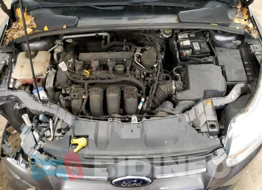 1FADP3F27EL223431 Photo# 11