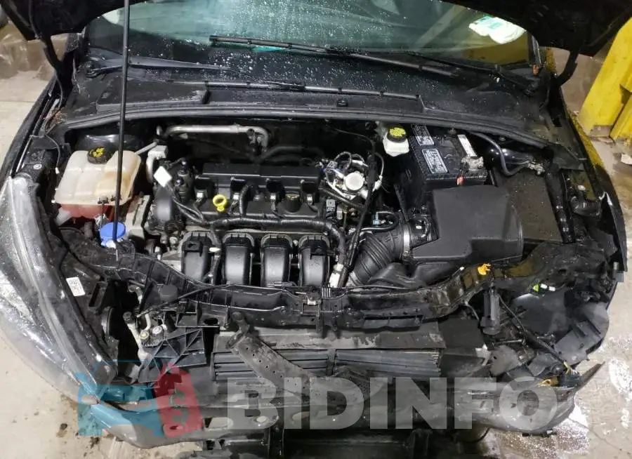 1FADP3H24HL248384 Photo# 7