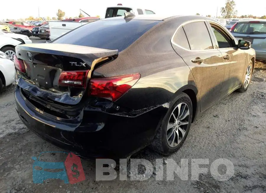 19UUB1F52FA016340 Photo# 4