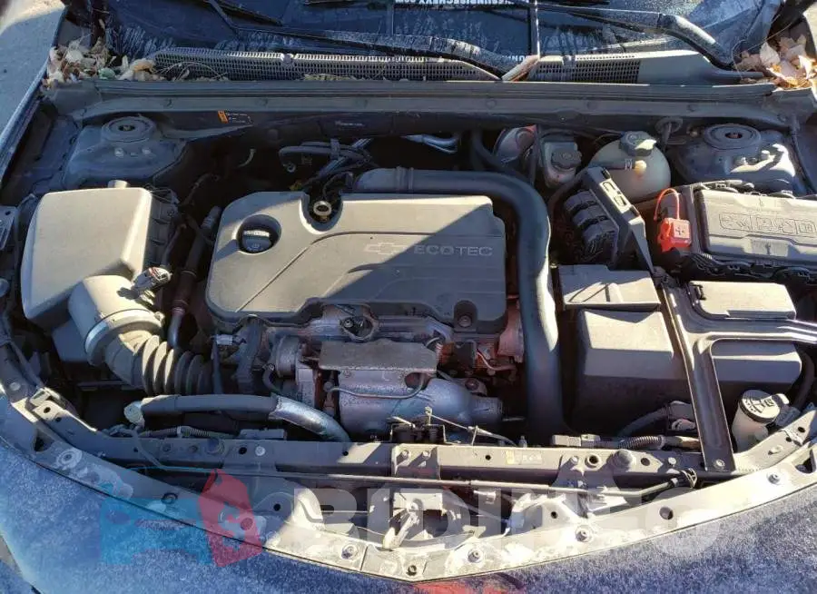 1G1ZB5ST4HF171521 Photo# 11