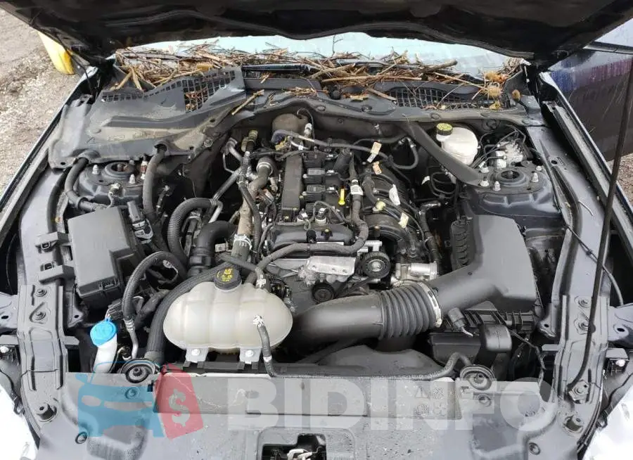 1FATP8UH5M5104389 Photo# 11