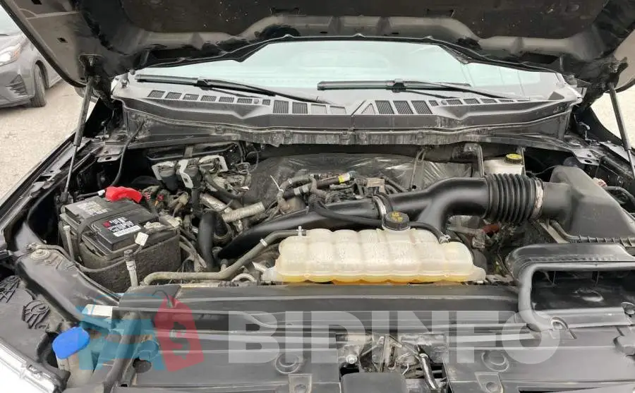 1FTEW1EP1MKD28019 Photo# 7