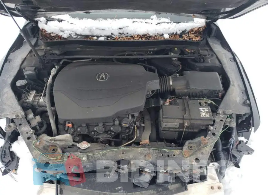 19UUB3F52FA801016 Photo# 11