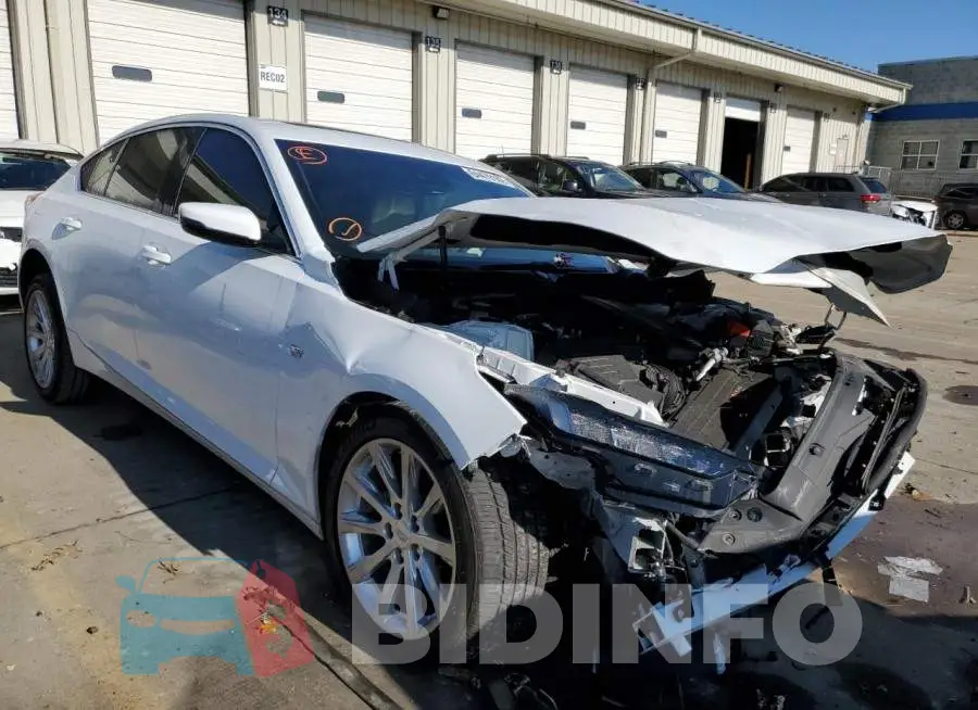 1G6DX5RK1L0156151 Photo# 9