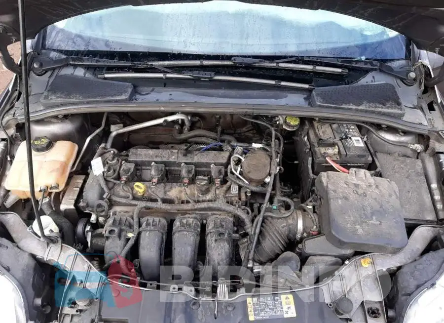 1FADP3E22EL391172 Photo# 11
