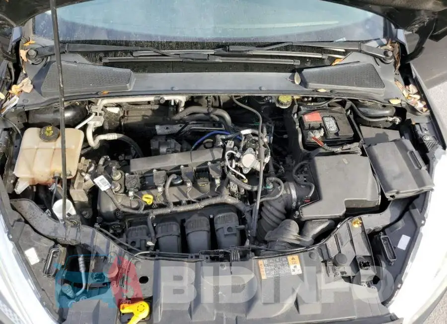 1FADP3F24GL235569 Photo# 11