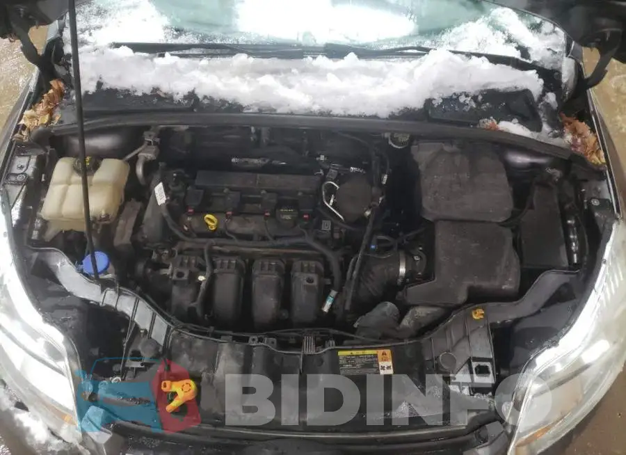 1FADP3F29EL120334 Photo# 11