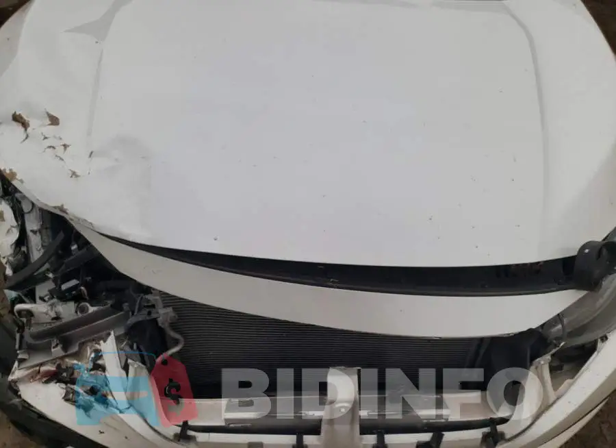 19XFC1F91GE008445 Photo# 11