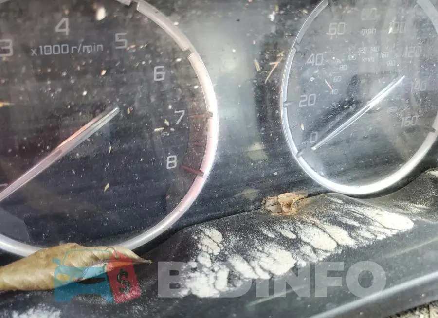 19UUB2F76GA009836 Photo# 8