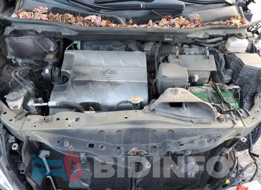 2T2BK1BA6EC247448 Photo# 12