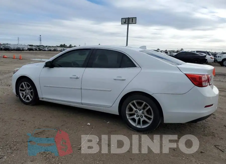 1G11C5SL7EF185645 Photo# 2