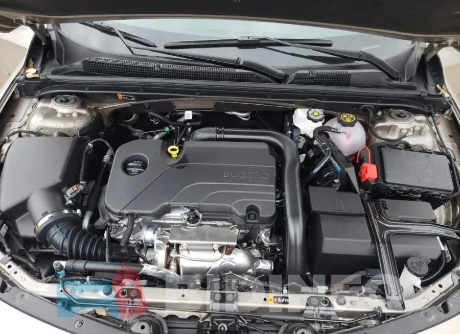 1G1ZD5ST9PF130780 Photo# 11