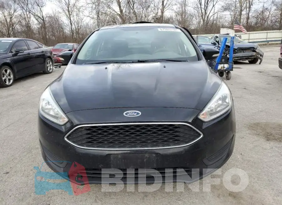 1FADP3F24GL280785 Photo# 5