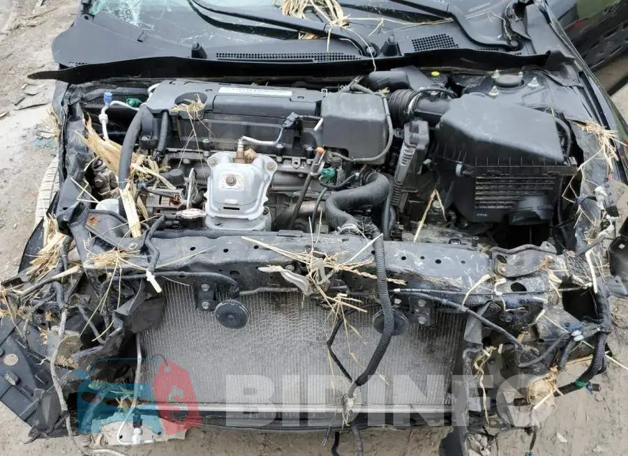 1HGCR2F39FA043434 Photo# 11