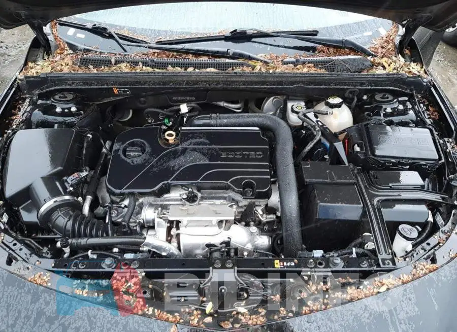 1G1ZD5ST4LF089842 Photo# 11