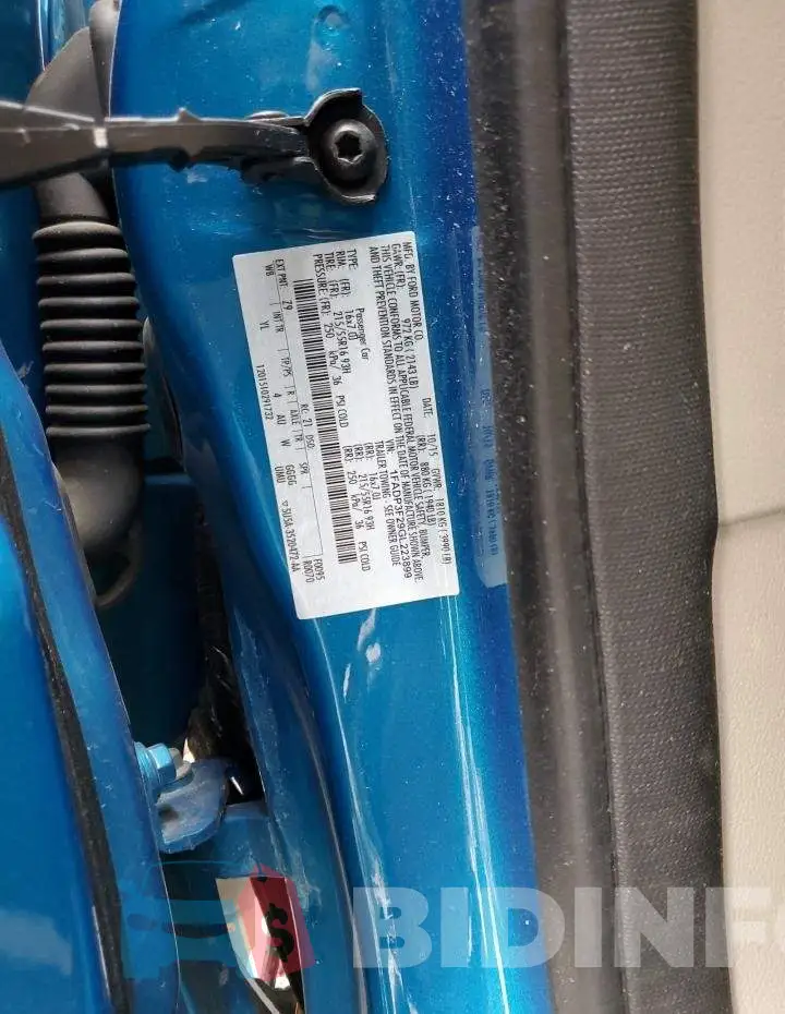1FADP3F29GL223899 Photo# 12