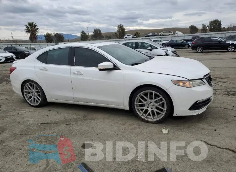 19UUB1F59FA017839 Photo# 4