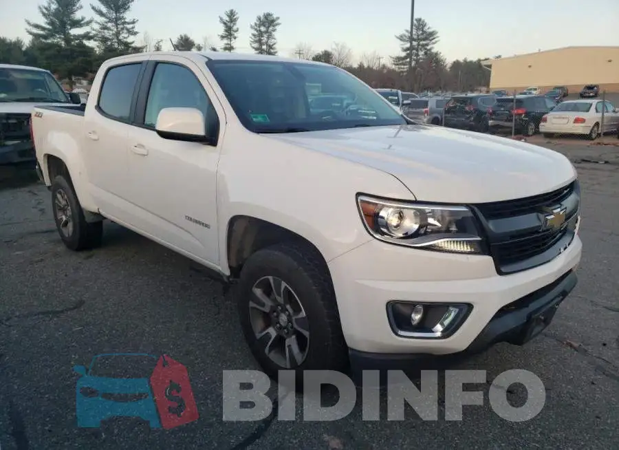 1GCGTDEN0L1201574 Photo# 4