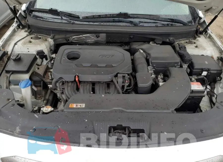 5NPE24AF7FH246453 Photo# 11
