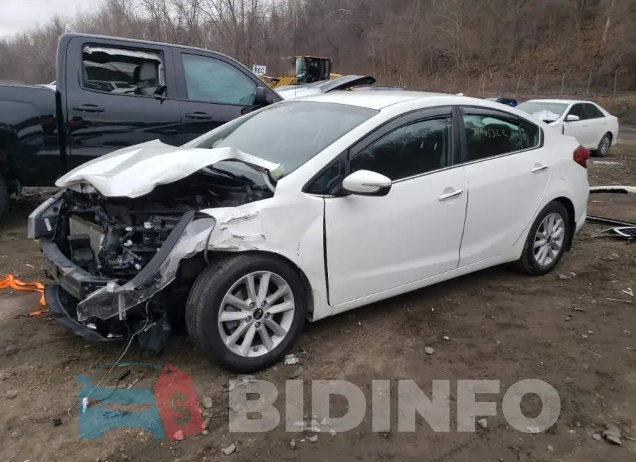 3KPFL4A70HE101241 Photo# 1