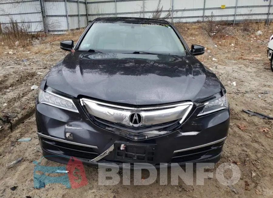 19UUB1F38FA024859 Photo# 5