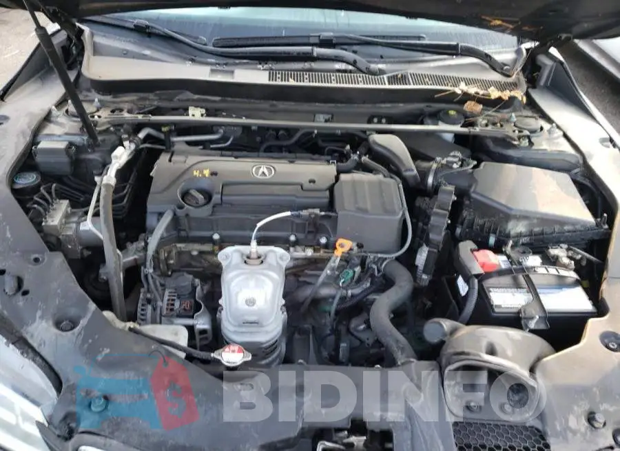 19UUB1F52GA003444 Photo# 7