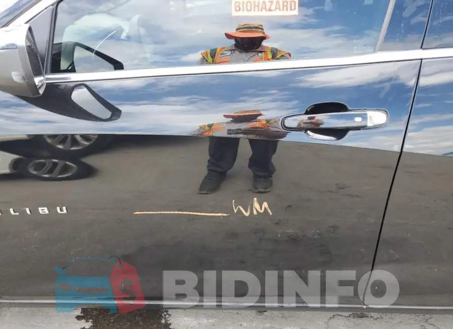 1G1ZD5ST5MF049948 Photo# 9