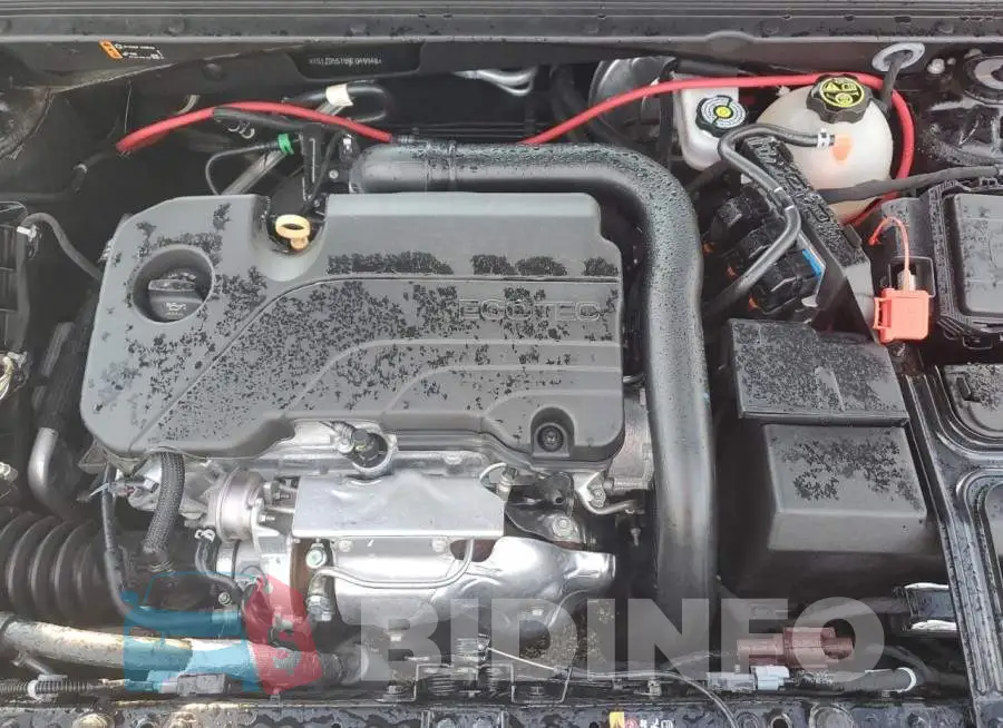 1G1ZD5ST5MF049948 Photo# 7