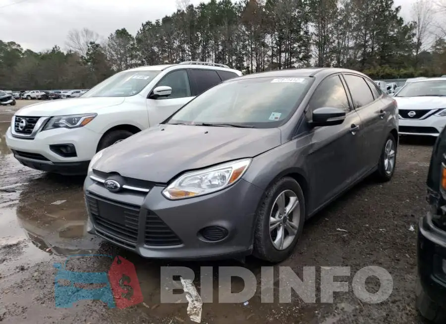 1FADP3F22EL246521 Photo# 1