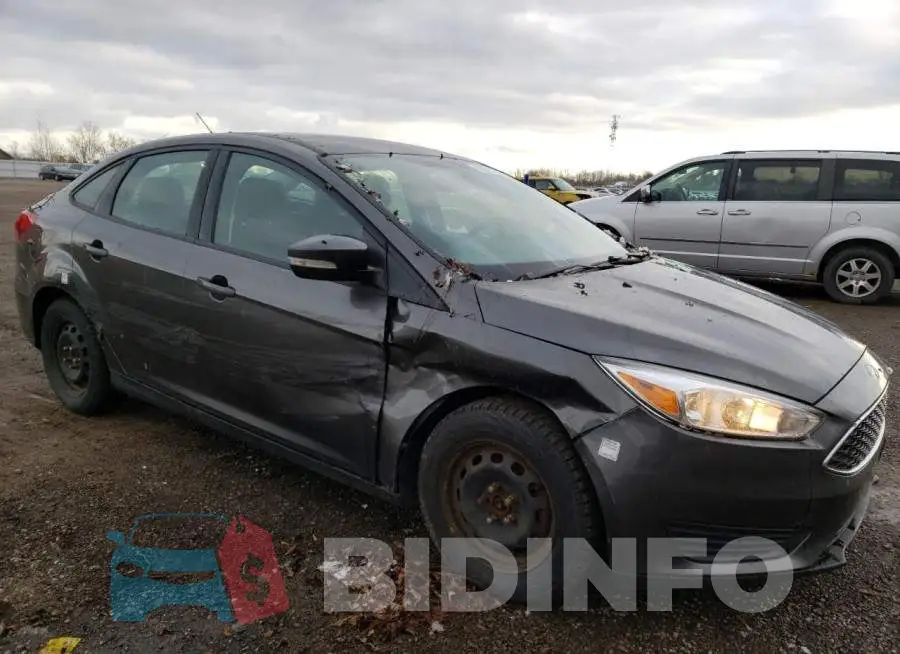 1FADP3F28GL349476 Photo# 4