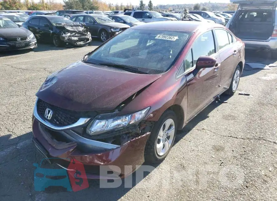 19XFB2F54FE293338 Photo# 1