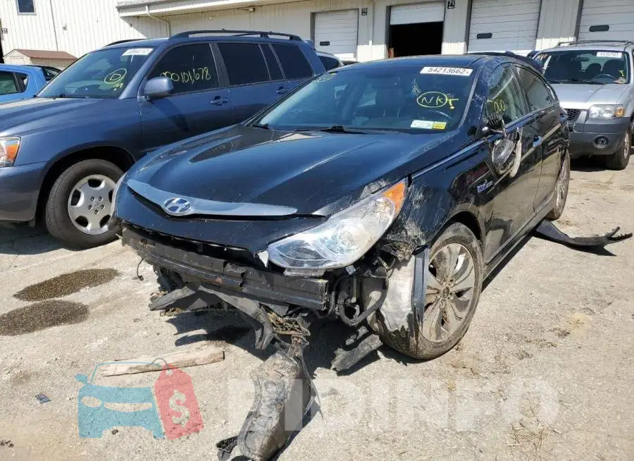 KMHEC4A45FA131574 Photo# 2
