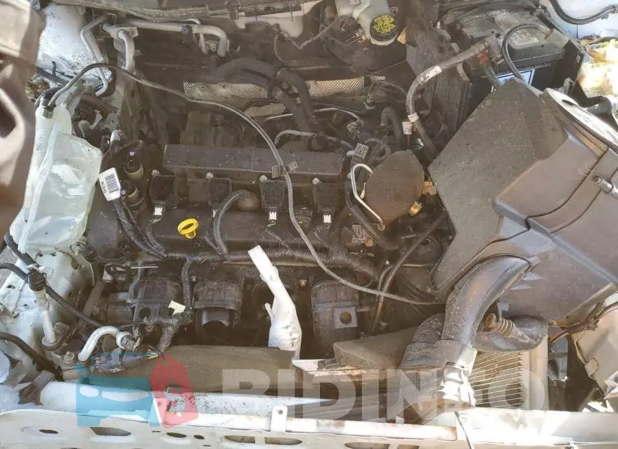 1FADP3F22GL220374 Photo# 11