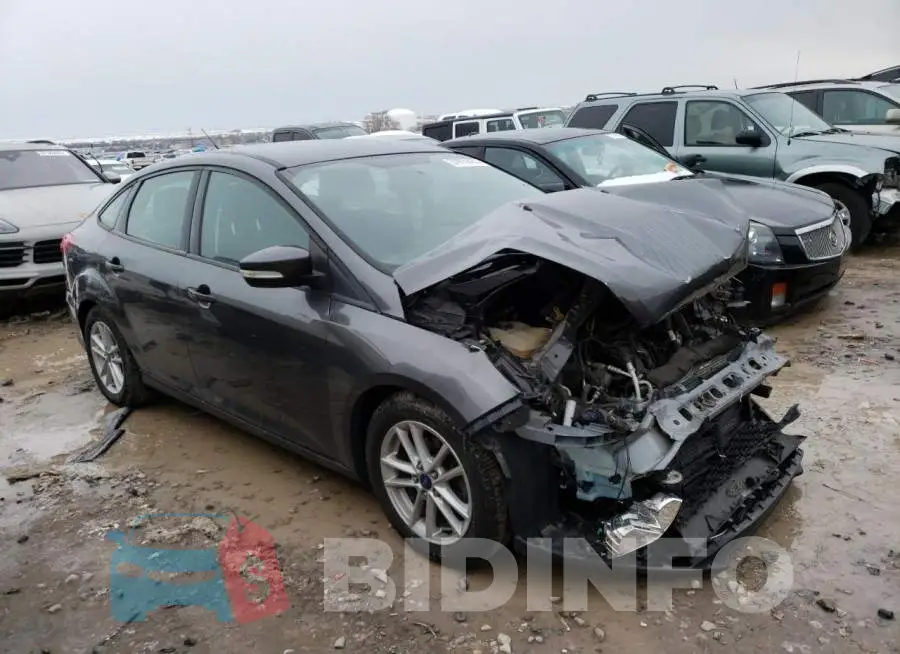 1FADP3F24HL258903 Photo# 4