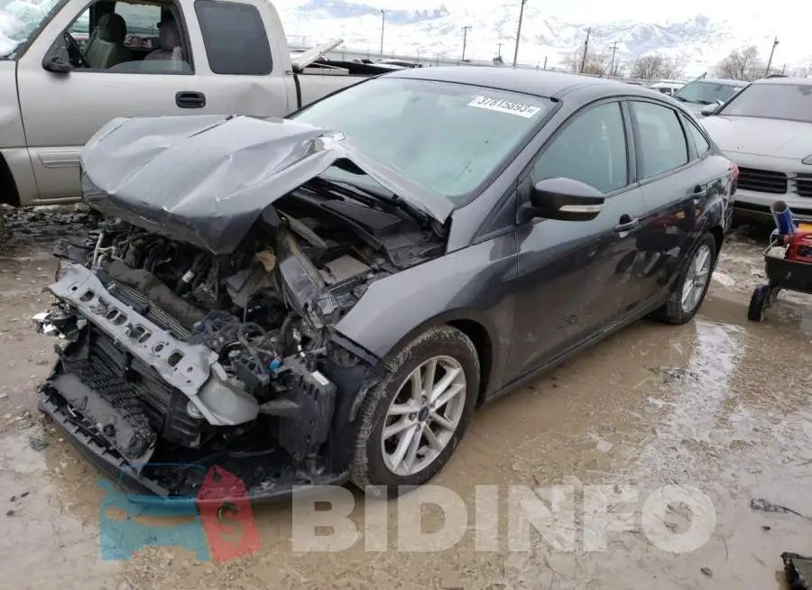 1FADP3F24HL258903 Photo# 1