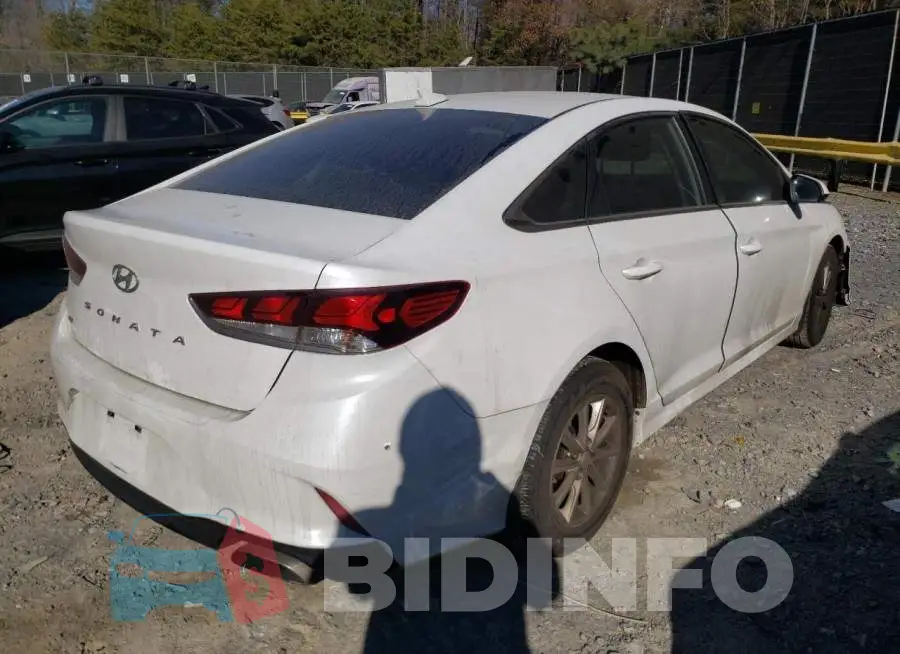 5NPE24AF7KH796780 Photo# 3