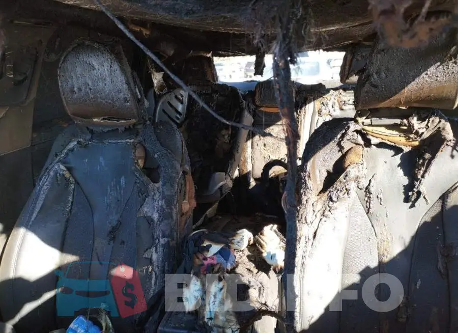 2LMPJ6J92MBL17455 Photo# 10