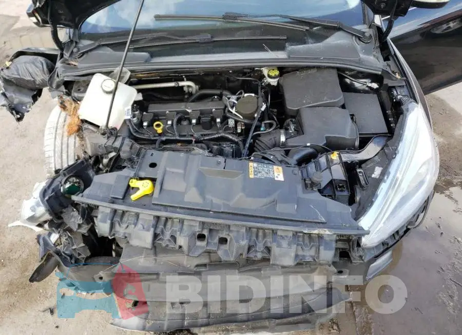 1FADP3J22GL219653 Photo# 11