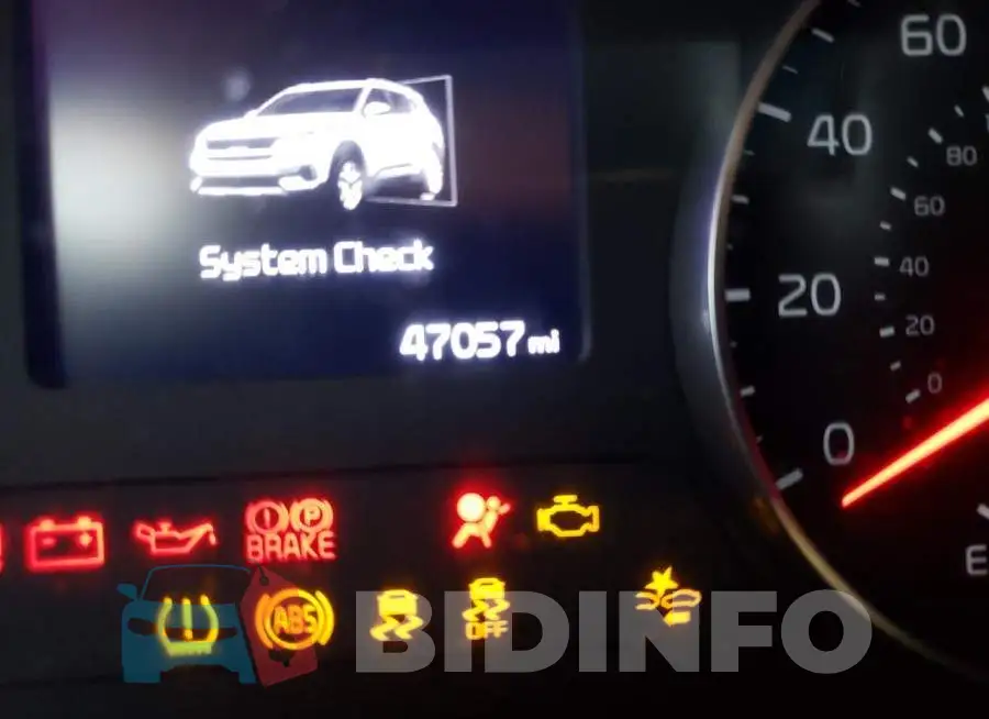 KNDERCAA6M7219904 Photo# 8